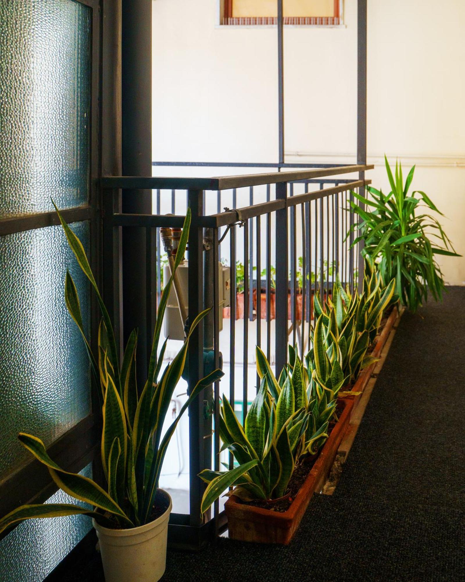 Chiatamone Relais Apartment Naples Luaran gambar